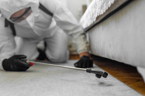 Professional Termite Control technician working in Montoursville, PA